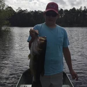 Meet your Posher, George